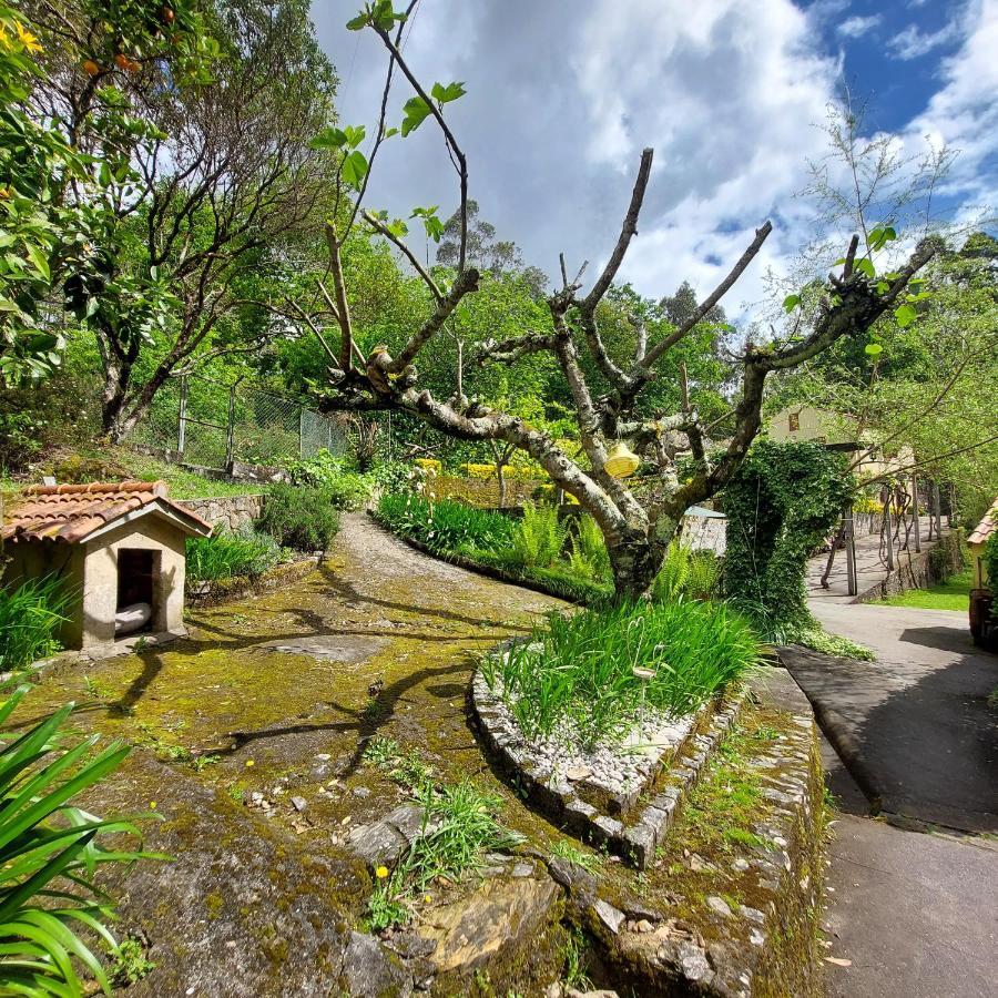 Watermill Moinho Garcia Hostel Pinheiro da Bemposta Exterior photo