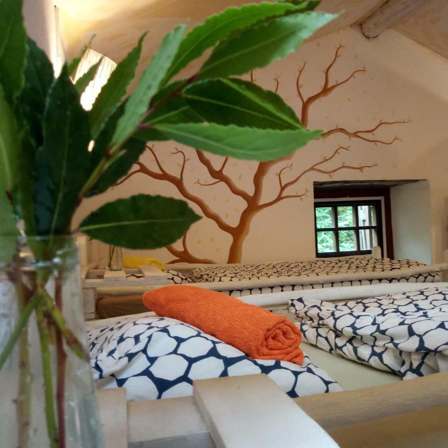 Watermill Moinho Garcia Hostel Pinheiro da Bemposta Exterior photo