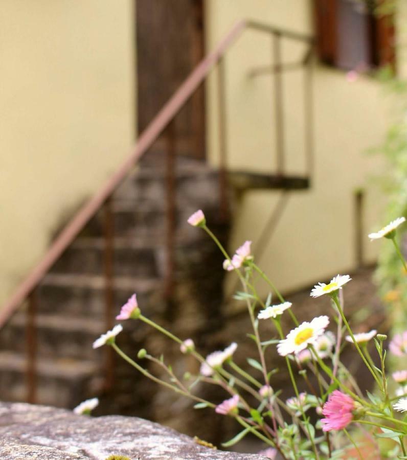 Watermill Moinho Garcia Hostel Pinheiro da Bemposta Exterior photo